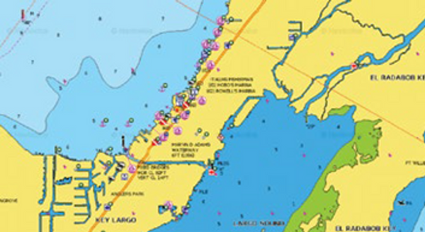 Navionics + Plus Charts - 3 coverage areas